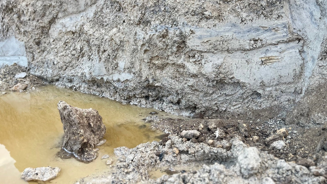 Using Wild Clay from Sarasota County, Florida. Photo: Light gray wall of kaolinitic clay 